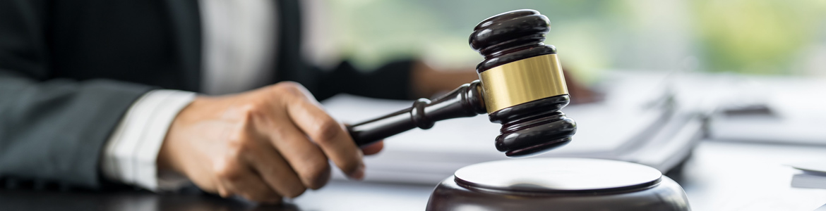 Юрист подготавливает документы для получения ВНЖ за инвестиции